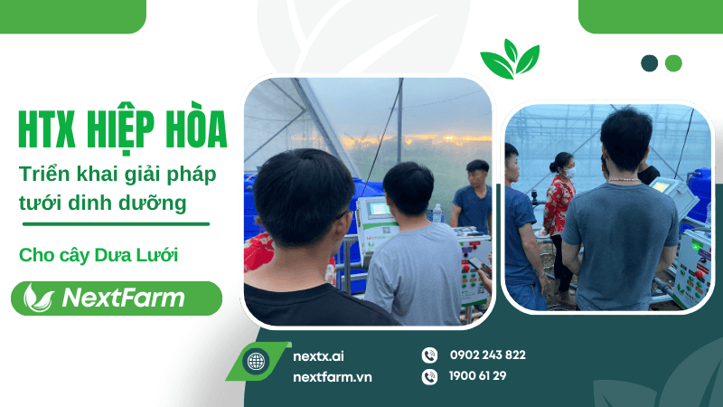 Nextfarm triển khai giải pháp tưới dinh dưỡng cho HTX Hiệp Hòa