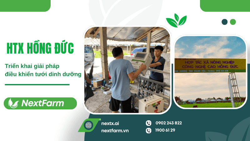Nextfarm triển khai giải pháp điều khiển tưới dinh dưỡng cho HTX Hồng Đức