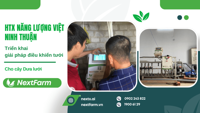 Triển khai giải pháp điều khiến tưới dưa lưới cho HTX Năng lượng Việt Ninh Thuận