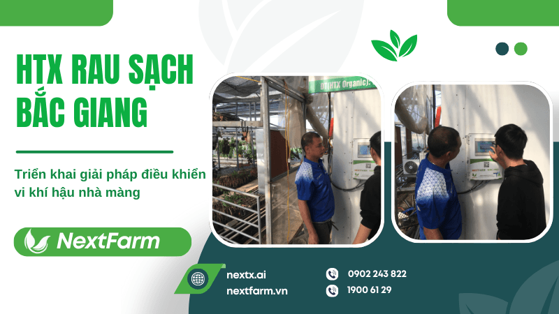 Nextfarm triển khai giải pháp điều khiển vi khí hậu nhà màng cho HTX Rau sạch Bắc Giang