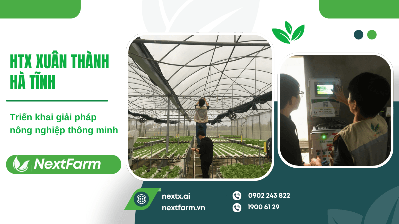 Nextfarm triển khai giải pháp nông nghiệp thông minh cho HTX Xuân Thành Hà Tĩnh