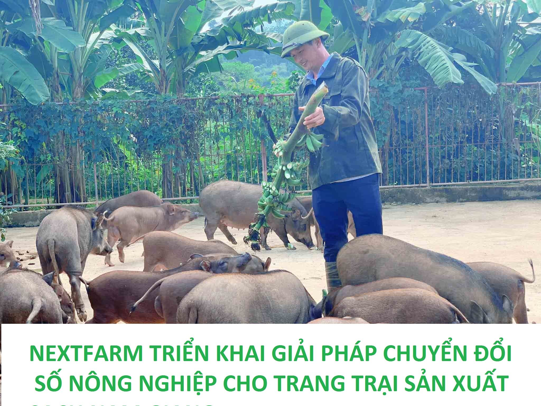 chuyển đổi số nextfarm
