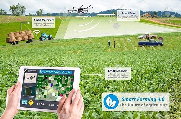 đề án chuyển đổi số nextfarm