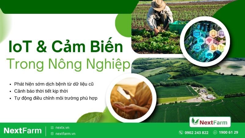 IoT và cảm biến trong nông nghiệp