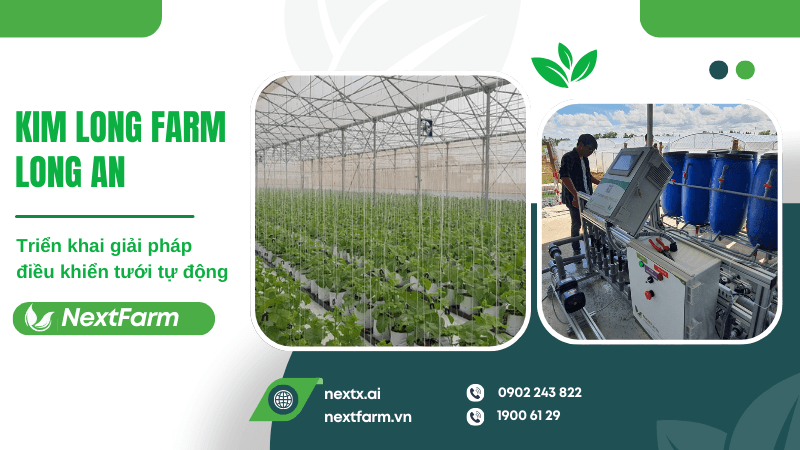Triển khai hệ thống điều khiển châm phân dinh dưỡng tự động Nextfarm Fertikit cho Kim Long Farm Vũng Tàu