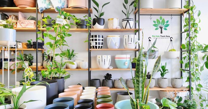 6 mẹo kinh doanh cây cảnh hiệu quả nhất năm 2022