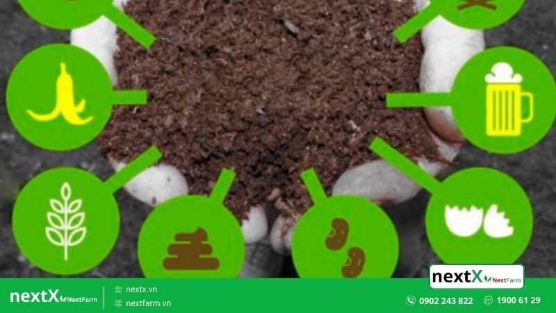 kỹ thuật canh tác hữu cơ