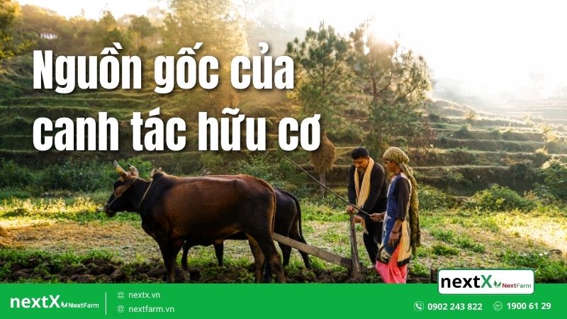 kỹ thuật canh tác hữu cơ