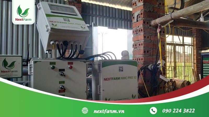 Quy trình trồng dưa leo F1