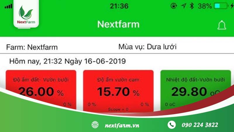 Kỹ thuật trồng măng tây cho người mới bắt đầu