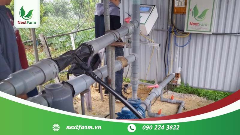 Kỹ thuật trồng ổi – năng suất tốt – chất lượng cao