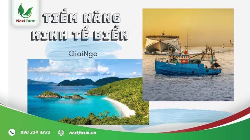  Lợi thế phát triển nông nghiệp vùng Duyên hải Nam Trung Bộ