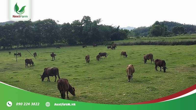  Lợi thế phát triển nông nghiệp vùng Duyên hải Nam Trung Bộ