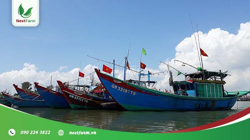 Lợi thế phát triển nông nghiệp vùng Duyên hải Nam Trung Bộ