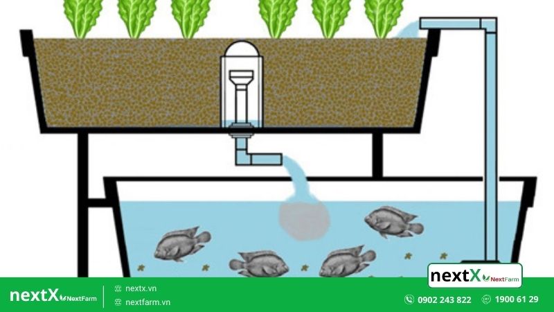 mô hình nông nghiệp hiện đại