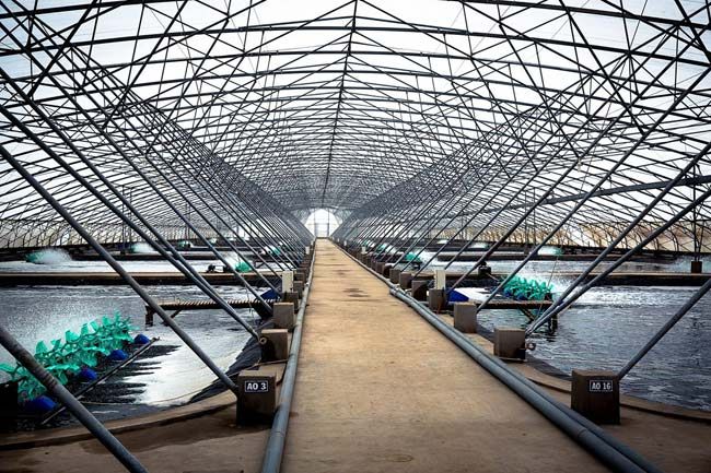 5 mô hình chuyển đổi số nông nghiệp hiệu quả nhất năm 2022