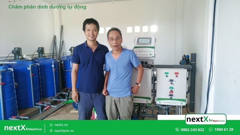 mô hình trồng dưa lưới