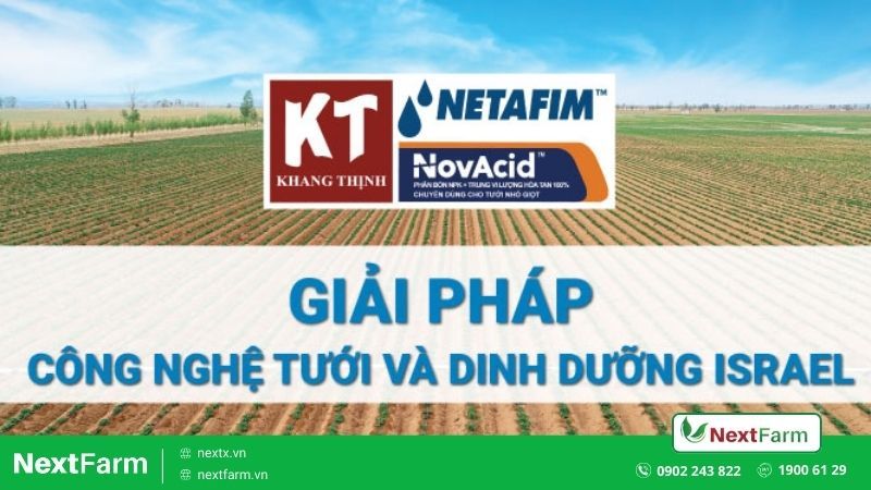 netafim khang thịnh