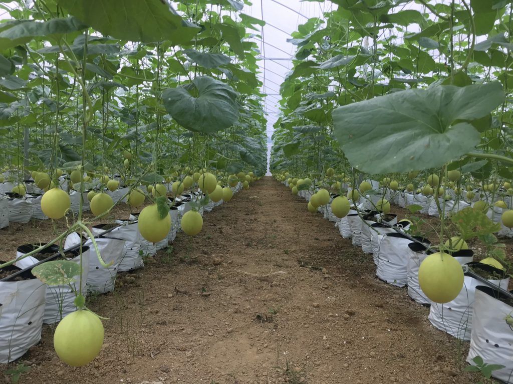 Điền trạch farm