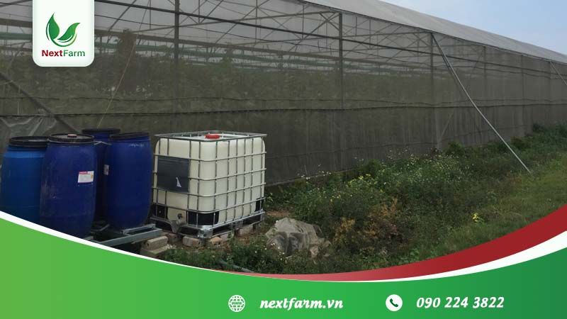 Nextfarm triển khai giải pháp châm phân dinh dưỡng cây trồng tích hợp quan trắc khí tượng cho cà chua