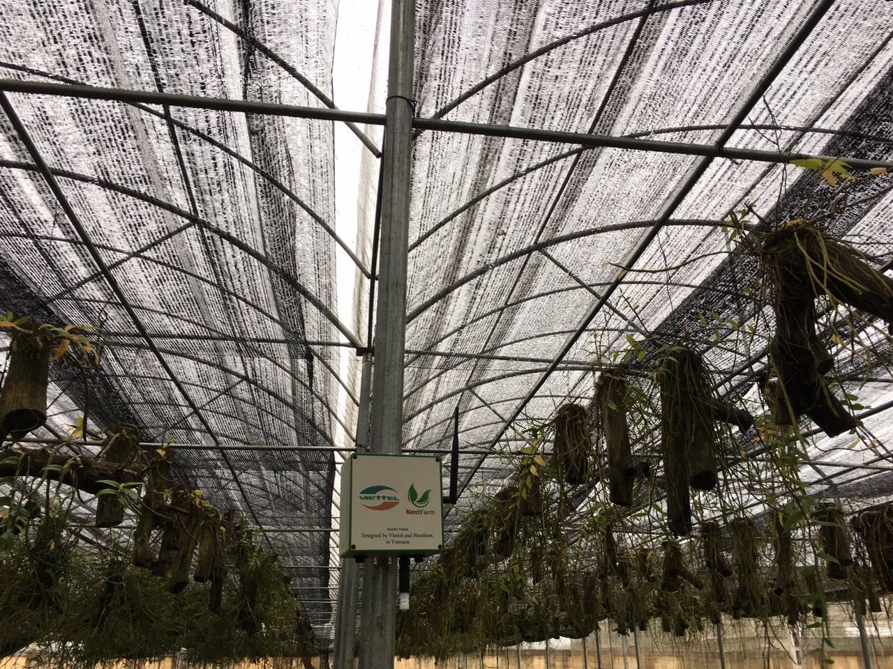 Chuyển đổi số nông thôn mới nextfarm 2