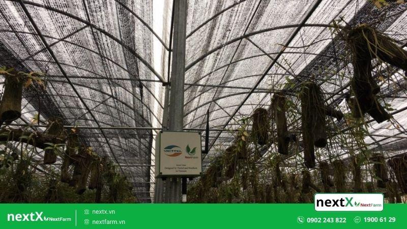 nextX Nextfarm hợp tác với Viettel