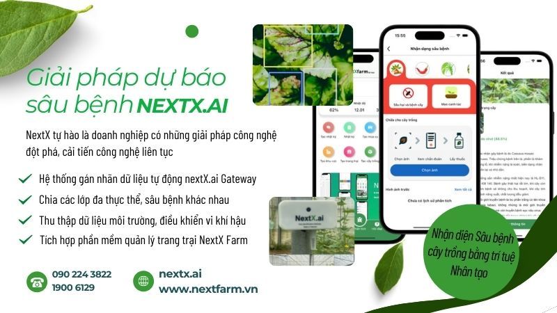 Top 3 giải pháp nhận diện sâu bệnh cây trồng qua hình ảnh hiệu quả nhất hiện nay