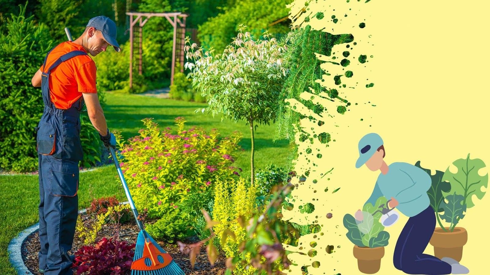 5 mẹo trồng và chăm sóc cây ăn quả hiệu quả nhất