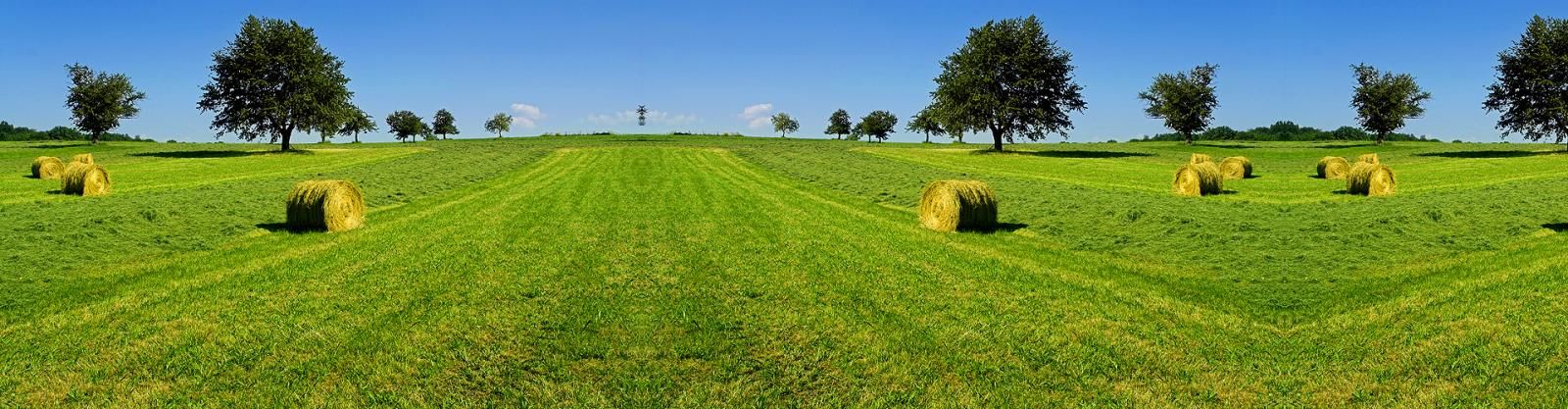 nong-nghiep-cong-nghe-cao