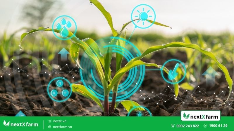 5 lợi ích của nông nghiệp hiện đại đối với nền kinh tế và xã hội