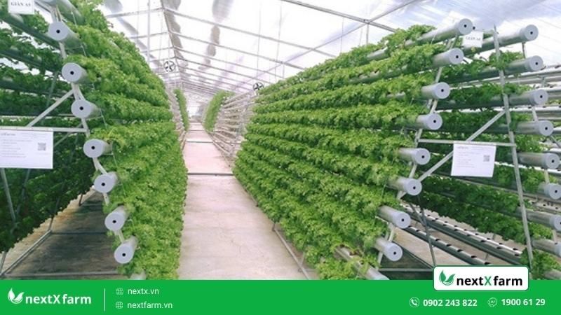 Top 5 mô hình nông nghiệp xanh thông minh mà bạn cần phải biết