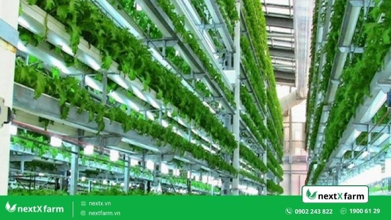 nông nghiệp xanh thông minh