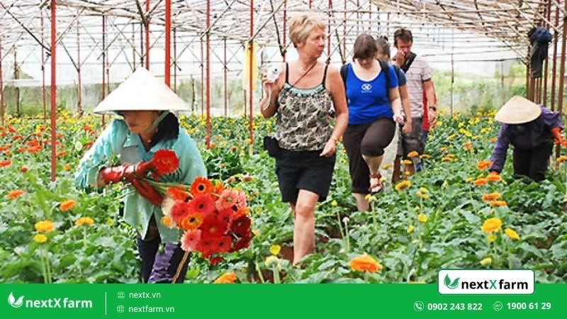 nông nghiệp xanh thông minh