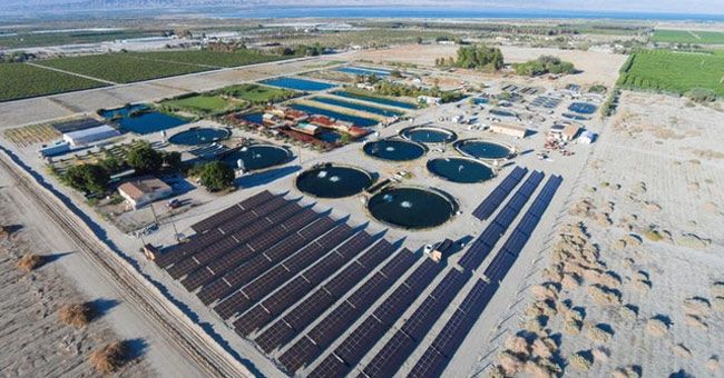 7 bí kíp giúp nông nghiệp Israel phát triển bậc nhất thế giới