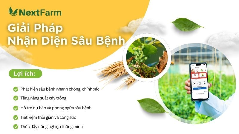 Lợi ích khi nhận diện bệnh cây trồng qua hình ảnh bằng trí tuệ nhân tạo