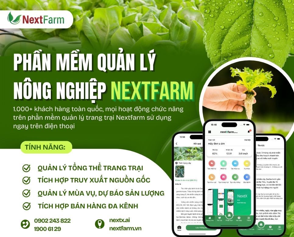 Top 3 ứng dụng tự động hóa trong nông nghiệp hiệu quả nhất