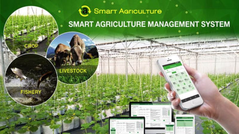 Phần mềm quản lý nông trại Smart Agri