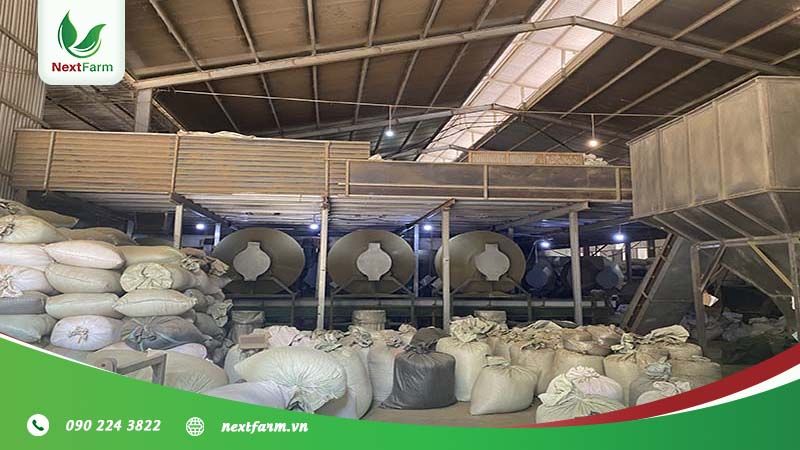 [Phú Thọ] NextFarm triển khai truy xuất nguồn gốc QRCheck cho xưởng Utea Phú Thọ – Cây chè