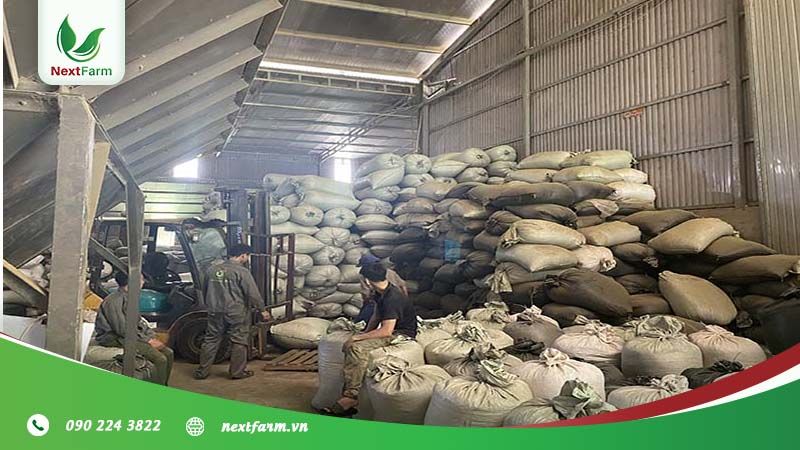 [Phú Thọ] NextX triển khai truy xuất nguồn gốc QRCheck cho xưởng Utea Phú Thọ - Cây chè