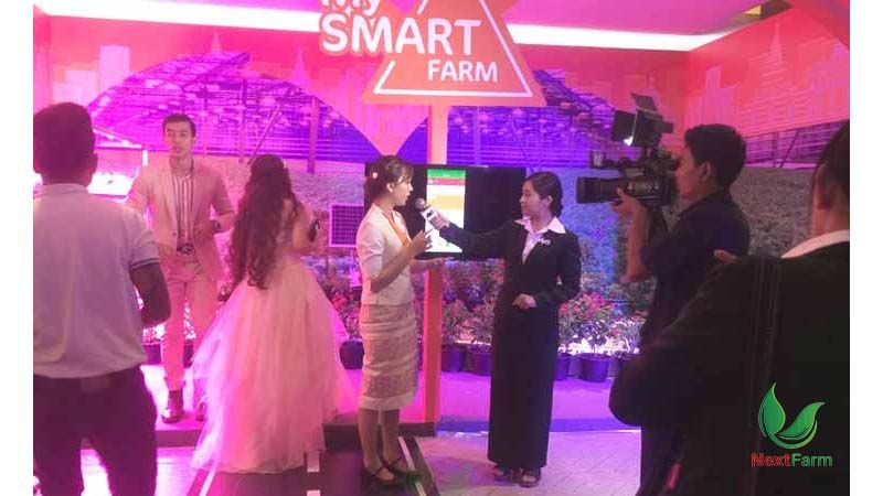 Quan trắc môi trường nông nghiệp nhờ chính côn trùng, thực vật