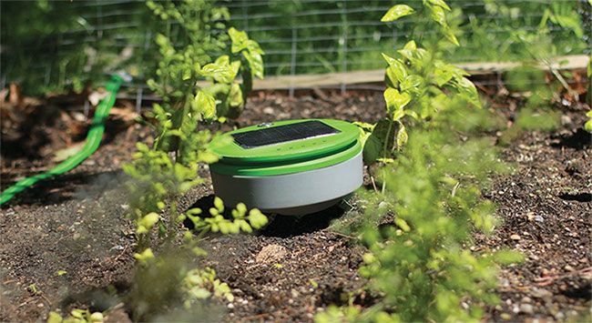 Ứng dụng robot trong nông nghiệp