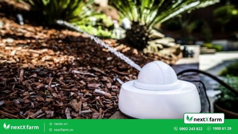 Ưu và nhược điểm của robot tưới cây tự động mà bạn cần phải biết