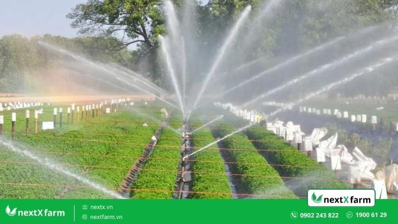 robot tưới cây tự động