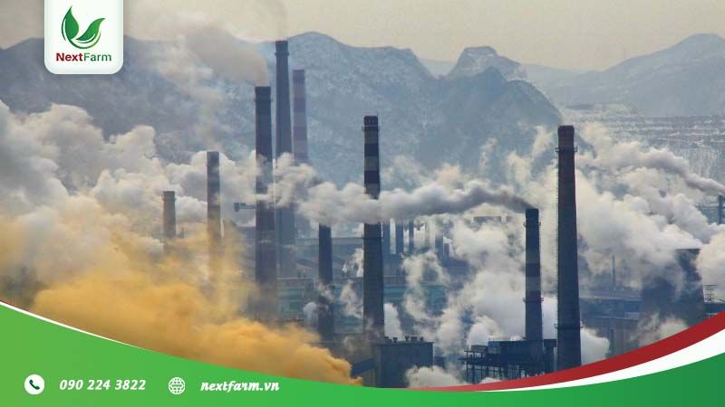 Tầm quan trọng của dập bụi môi trường trong sản xuất