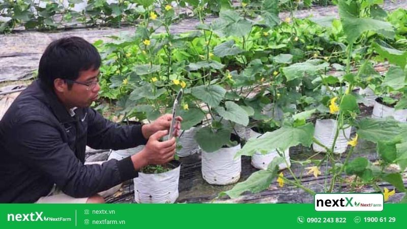 Giải pháp quản lý nông nghiệp thông minh NextX (P1)