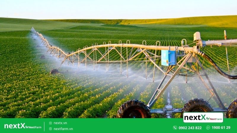 thực trạng chuyển đổi số nông nghiệp