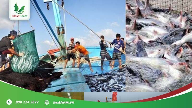 Tiềm năng phát triển nông nghiệp Nam Trung Bộ có dồi dào?