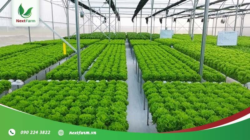 Tiềm năng phát triển nông nghiệp Nam Trung Bộ có dồi dào?