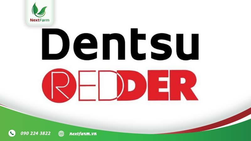 Top 5 agency hàng đầu Việt Nam mà giới trẻ cần phải biết