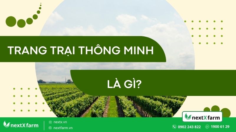 Trang trại thông minh